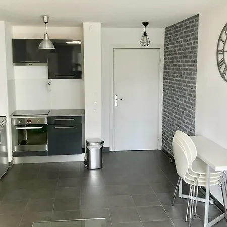 Le T2 Appartement Moderne Avec Terrasse Et Parking Straßburg Exterior foto